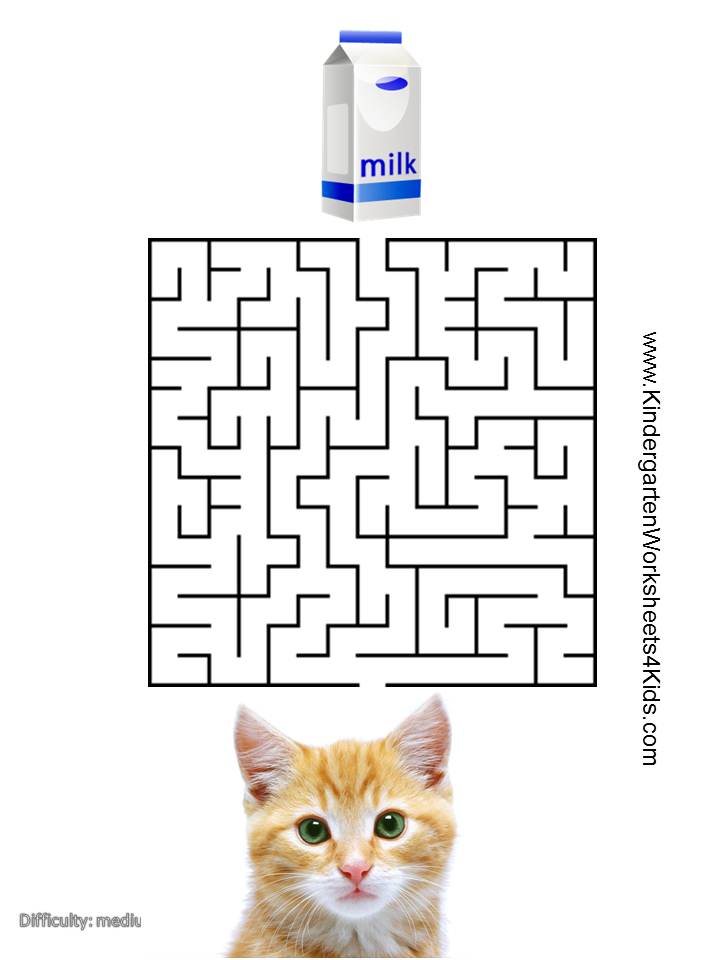 Cat Mazes